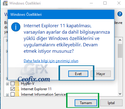 Windows 10 da İnternet Explorer Nasıl Devre Dışı Bırakılır