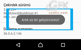 Android Geliştirici Seçenekleri-Devre Dışı Bırak-Etkinleştir