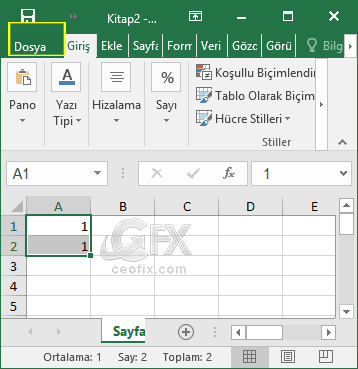 Excel de Doldurma tutamacını gösterme yada gizleme