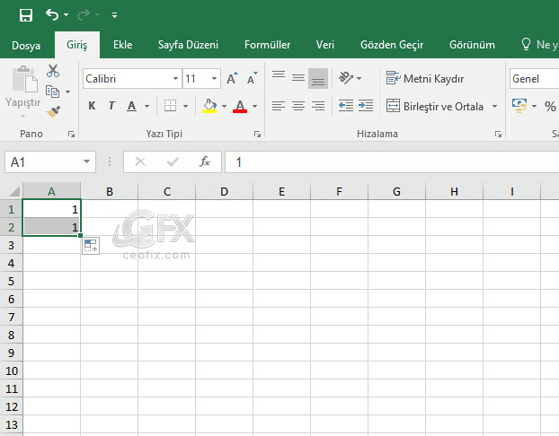 Excel'de hücreleri kopyalamak-www.ceofix.com