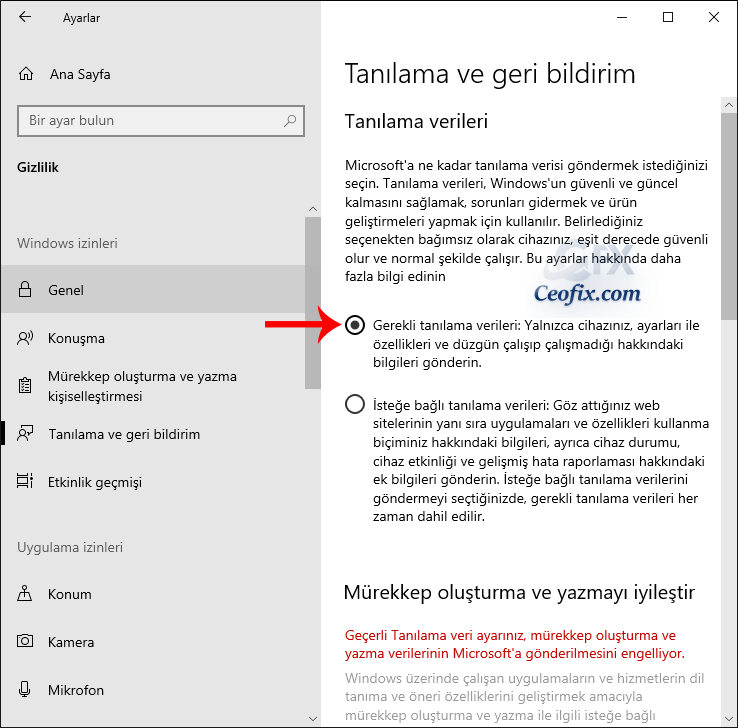 Windows 10'da Gizliliğini Koru