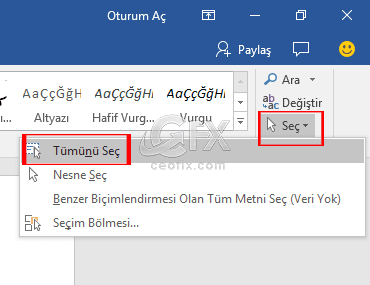 Microsoft Word Belgesindeki yazı stilini Özelleştirme.