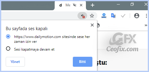 Ses Çalan Sitelerin Sesi Nasıl Kapatılır