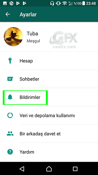 WhatsApp'da Gelen Aramalarda Titreşimi kapat: