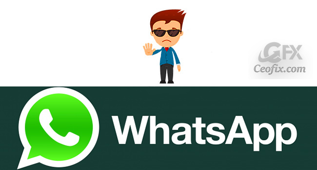 WhatsApp’da Mesajların Okundu Bilgisi İletilmesin (Mavi Tik)