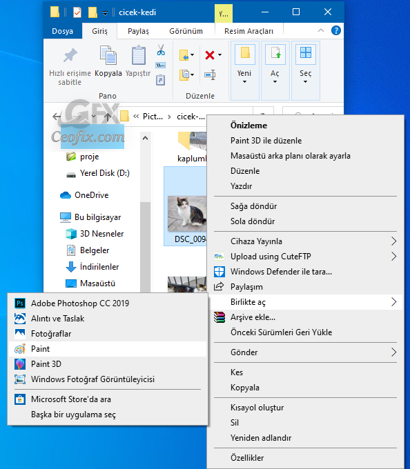 Microsoft Paint İle Resmi PDF'e Dönüştür