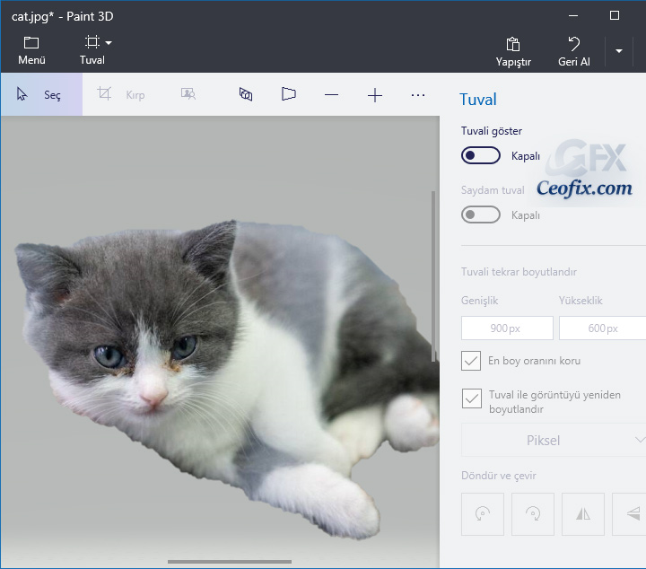 Windows 10'da Paint 3D İle Fotoğrafların Arka Planını Sil