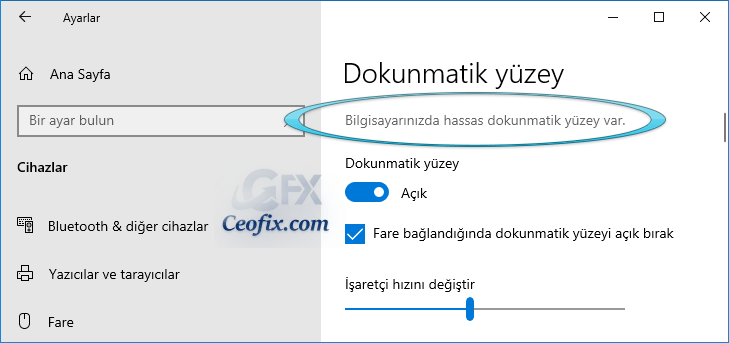 Dokunmatik Yüzeyde Fare Orta Tuşunu Aktif Et