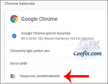 Chrome Hakkında