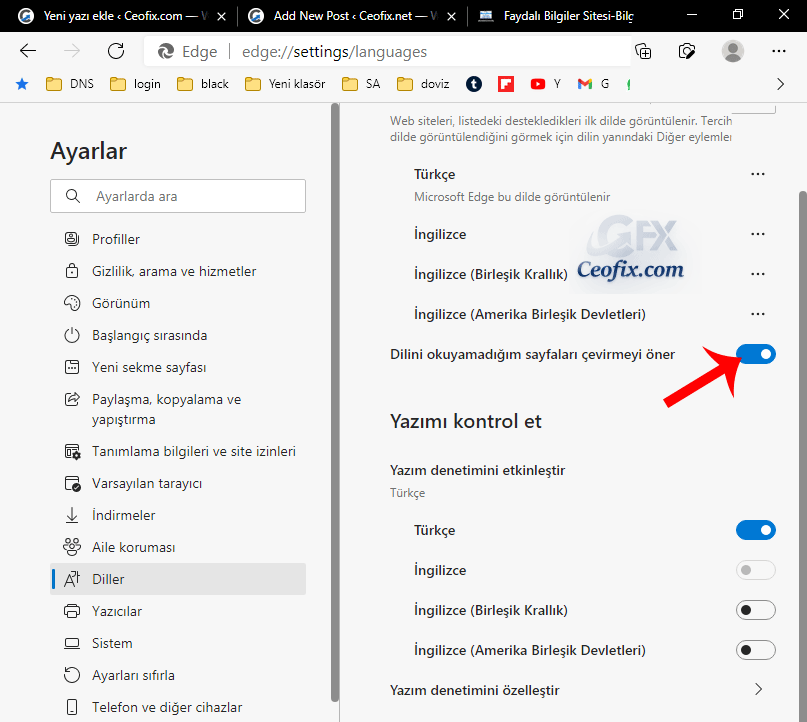 Microsoft Edge'de Sayfa Dili Nasıl Çevrilir