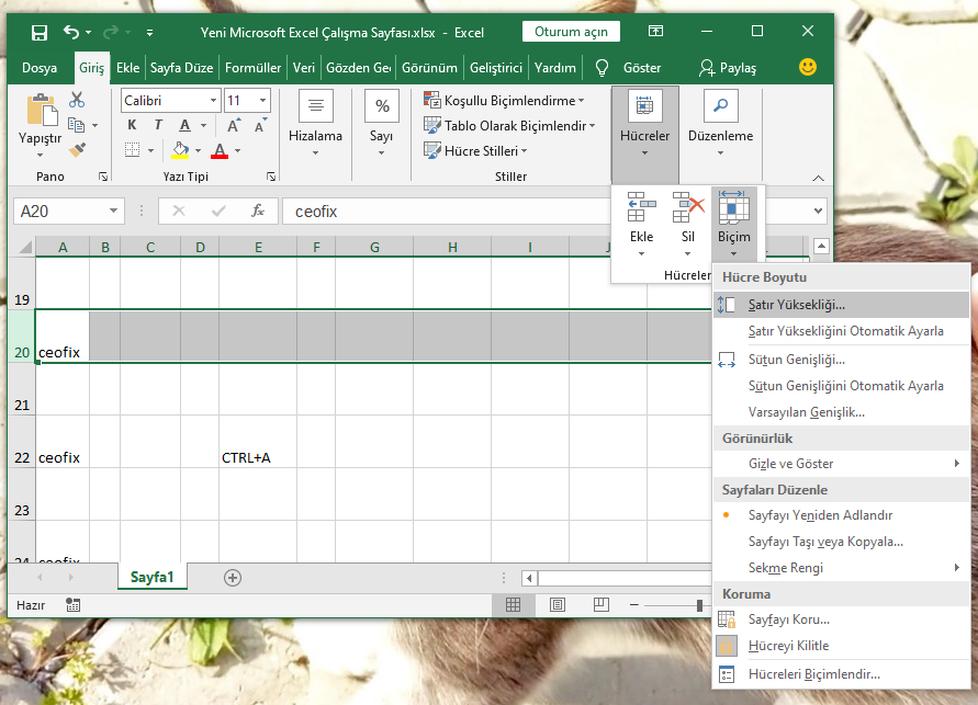 Excel'de Satır Yüksekliğini Değiştir