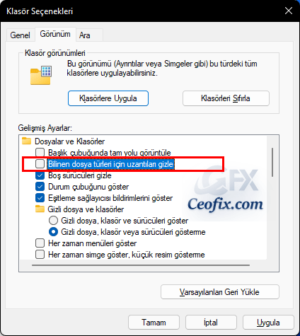 Windows 11'de Dosya Uzantılarını Göster Veya Gizle