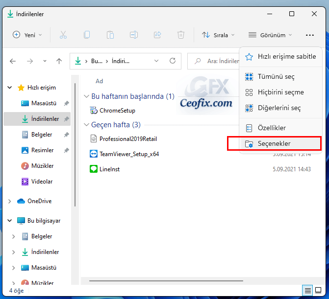 Windows 11'de Dosya Uzantılarını Göster Veya Gizle