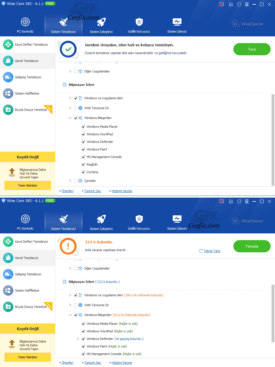 Wise Care 365 sistem temizleyici