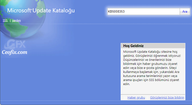 Microsoft Update Kataloğu