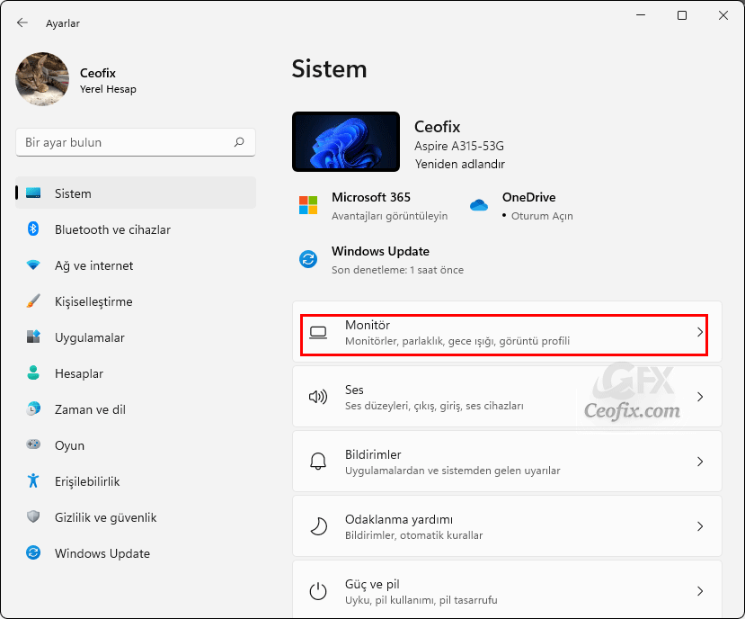 Windows 10 ve Windows 11'de VRAM Kapasitesini Nasıl Öğreniriz