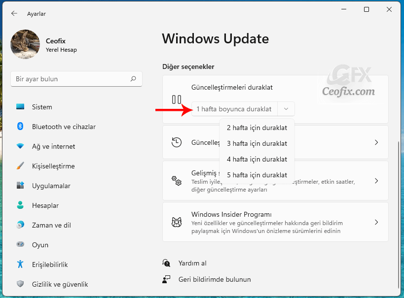 windows update