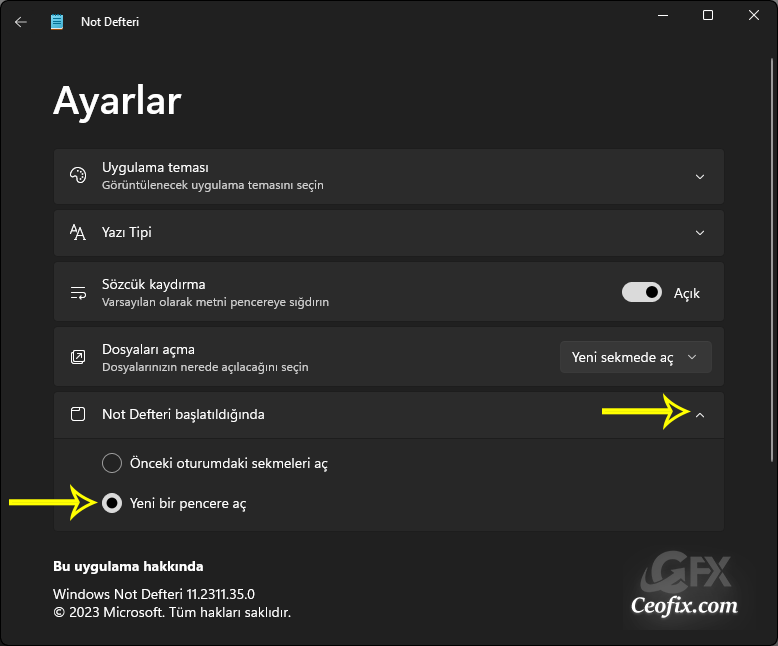 Not Defteri'nin Başlangıçta Önceki Dosyaları Açmasını Durdur